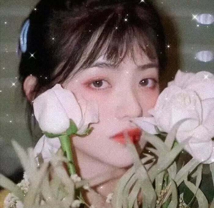新还珠格格