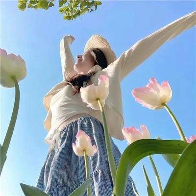 谍报飞龙